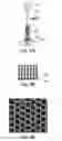 Fig. 05 - HIGH SENSITIVITY DETERMINATION OF THE CONCENTRATION OF ANALYTE MOLECULES OR PARTICLES IN A FLUID SAMPLE