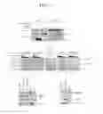 Fig. 04 - Inhibition of Skp2-cyclin a interaction