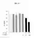 Fig. 15 - Inhibition of Skp2-cyclin a interaction