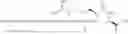 Fig. 320 - Cyclic natriuretic peptide constructs