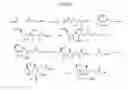 Fig. 09 - GRAM-POSITIVE CARBAPENEM ANTIBACTERIALS AND PROCESSES FOR THEIR PREPARATION