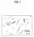 Fig. 02 - POLYESTER RESIN COMPOSITION AND MOLDED PRODUCT