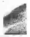 Fig. 12 - Polymer with dispersed fine metal particles, method for producing same, metal ion-containing polymer for use in same production, and method for producing same