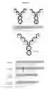 Fig. 02 - Dual variable domain immunoglobulins and uses thereof