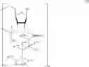 Fig. 49 - PROTECTED MONOMER AND METHOD OF FINAL DEPROTECTION FOR RNA SYNTHESIS