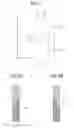 Fig. 08 - Capsule medical apparatus with board-separation keeping units