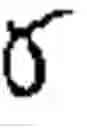 Fig. 02 - Biopsy needle