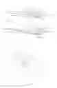 Fig. 07 - Speculum