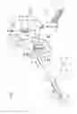 Fig. 02 - MEDICAL MANIPULATOR