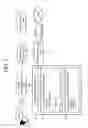 Fig. 05 - Voice recognition system