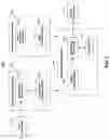 Fig. 03 - Confidence links between name entities in disparate documents
