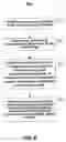 Fig. 10 - Confidence links between name entities in disparate documents