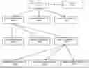 Fig. 01 - Alias management platforms and methods