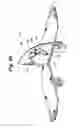 Fig. 09 - Convertible percussion cart-platform system