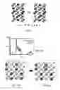 Fig. 02 - Solar cell