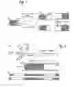 Fig. 02 - Spacers for Microfluidic Channels
