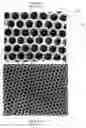Fig. 02 - Self-assembly process for memory array