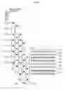 Fig. 09 - IMAGE RECORDING APPARATUS AND IMAGE RECORDING METHOD