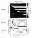 Fig. 05 - Optimized cascaded raman fiber-based laser source for high efficiency mid-infrared spectral generation