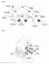 Fig. 02 - Method for defining an individual coordination system for a breast of a female patient