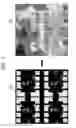 Fig. 06 - Constructing variability maps by correlating off-state leakage emission images to layout information