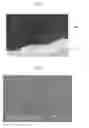 Fig. 07 - METHOD FOR SELECTIVELY FUNCTIONALIZING NON-MODIFIED SOLID SURFACE AND METHOD FOR IMMOBILIZING ACTIVE MATERIAL ON THE FUNCTIONALIZED SOLID SURFACE