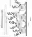 Fig. 02 - Surface Coating