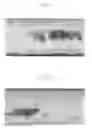 Fig. 09 - Polypropylene resin composition, expansion-molded article using the resin composition, and process for production of the expansion-molded article