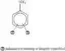 Fig. 06 - Electrically conductive films formed from dispersions comprising polythiophenes and ether containing polymers