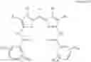 Fig. 09 - Colored curable composition, fluorine-containing dipyrromethene compound and tautomer thereof, and fluorine-containing dipyrromethene metal complex and tautomer thereof, and color filter using the same and method for producing the color filter