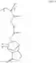 Fig. 02 - Positive resist composition, method of forming resist pattern, and polymeric compound
