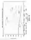 Fig. 07 - Transient operation of oxy/fuel combustion system