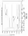 Fig. 08 - Transient operation of oxy/fuel combustion system