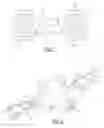Fig. 02 - Parallel-axis helical differential assembly