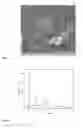 Fig. 07 - Process for preparing multimetallic anionic clays and products thereof