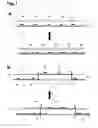 Fig. 02 - Method for genome analysis