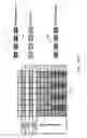 Fig. 16 - FLUDIC SYSTEM AND METHOD FOR PROCESSING BIOLOGICAL MICROARRAYS IN PERSONAL INSTRUMENTATION