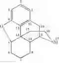 Fig. 08 - Processes for the selective amination of ketomorphinans