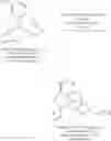 Fig. 19 - Processes for the selective amination of ketomorphinans