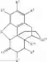 Fig. 22 - Processes for the selective amination of ketomorphinans