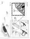 Fig. 06 - Histological facilitation systems and methods