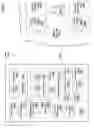 Fig. 21 - Histological facilitation systems and methods