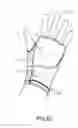 Fig. 12 - WRIST SUPPORT