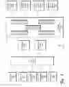 Fig. 02 - MULTI-LEVEL CONTENT ADDRESSABLE MEMORY