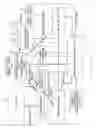 Fig. 02 - Multi-threaded system with branch