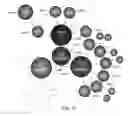 Fig. 35 - AUTOMATED MULTIMEDIA OBJECT MODELS