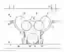 Fig. 01 - Billiard mode aseismatic architecture