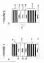 Fig. 02 - Spontaneous/stimulated light emitting μ-cavity device