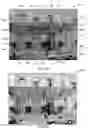 Fig. 07 - Colorization method and apparatus
