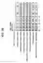 Fig. 07 - Display device